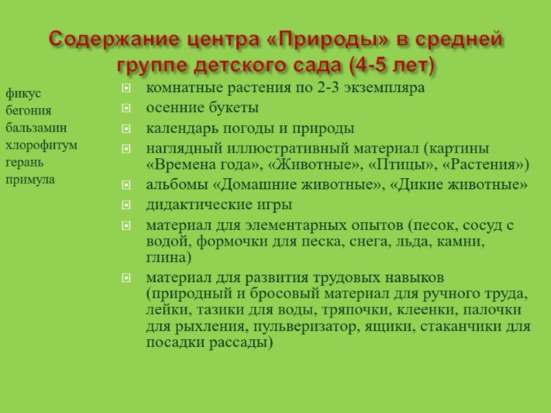 Содержание центра «Природы» в средней   группе детского сада (4-5 лет) комнатные растения